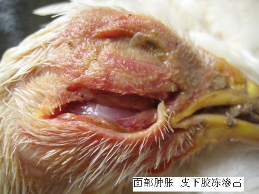 ���ʕr(sh��)��(y��ng)ԓ��ʲô��λ��ʲô��λ�l(f��)��ʲô����